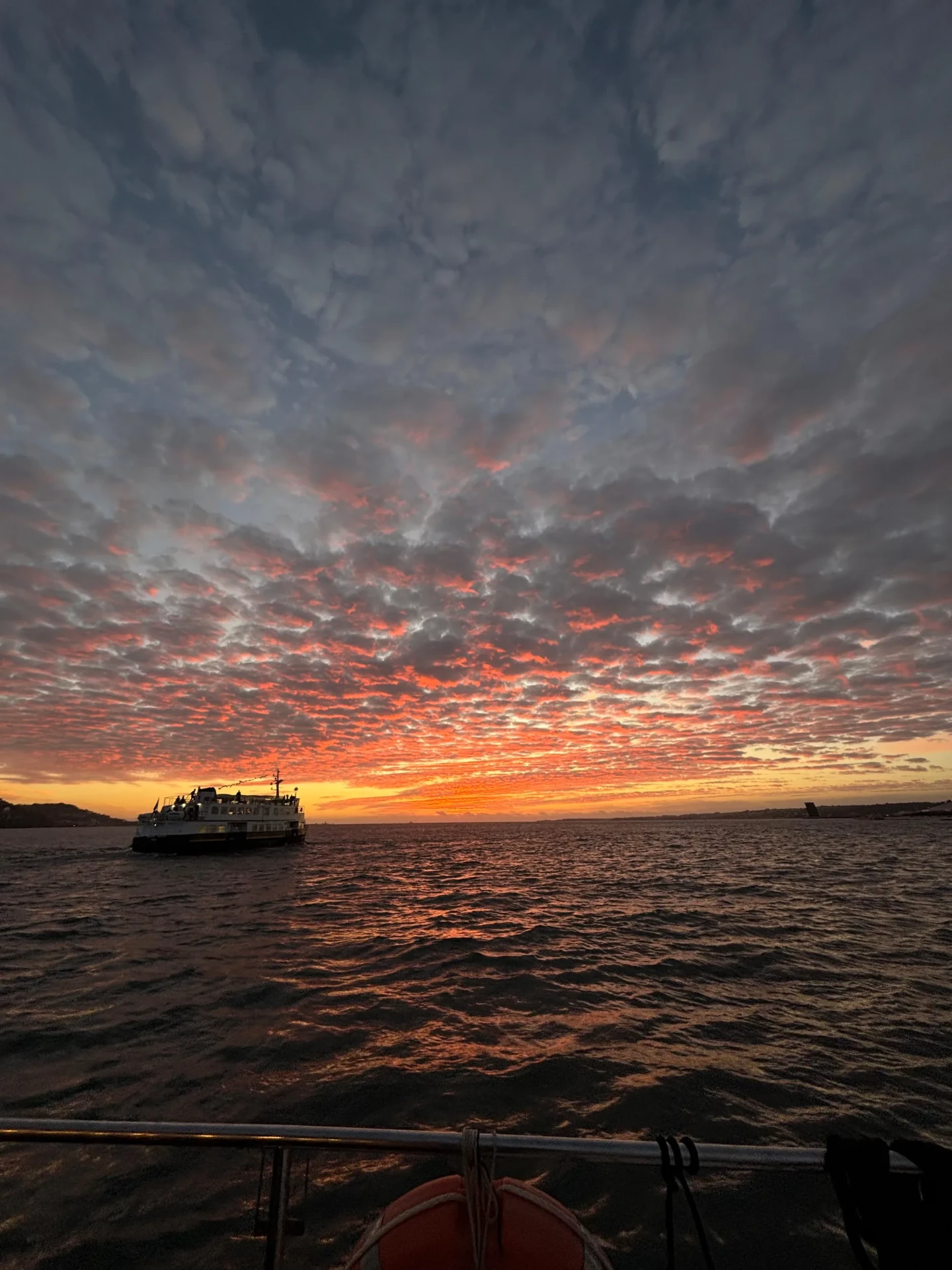 Passeio de barco no Rio Tejo com a Sardinha do Tejo, Lisboa — foto 148