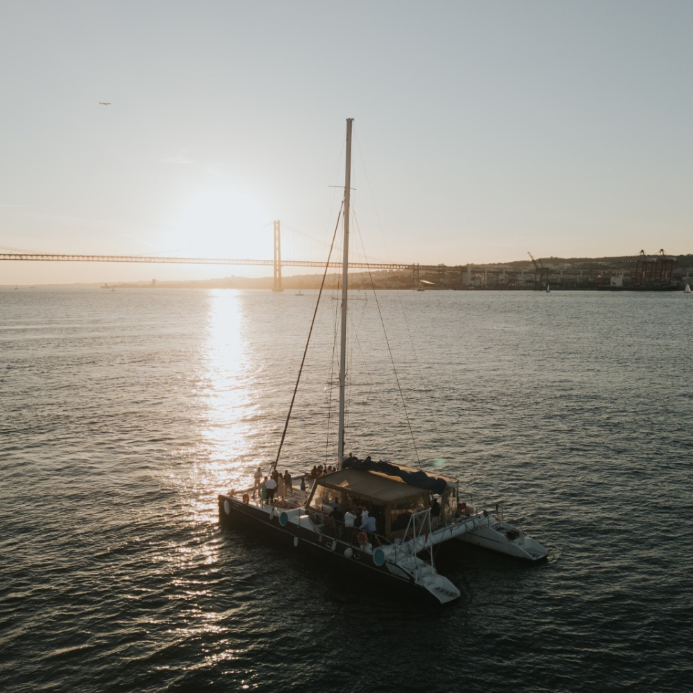 CATAMARANS - SARDINHA DO TEJO