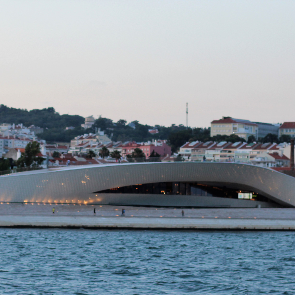 BARCO EVORA _ SARDINHA DO TEJO _ LISBOA