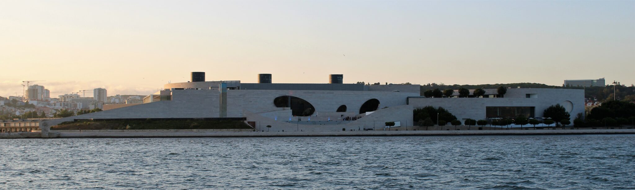 Fundação Champalimaud - SARDINHA DO TEJO
